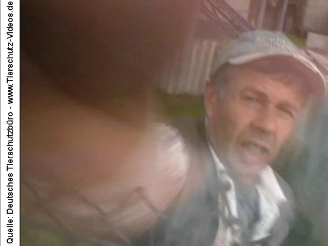 Pelzfarmer attackiert Filmteam! Quelle: Dt. Tierschutzbüro, www.tierschutz-videos.de