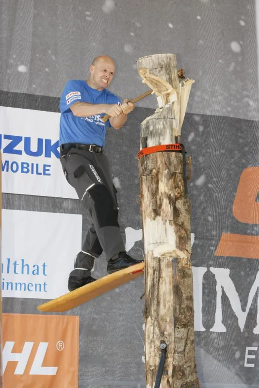 Sportholzfäller in 2,80m Höhe
