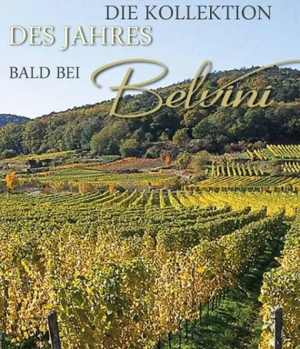 BELVINI.DE kooperiert mit Weinerzeuger des Jahres 2010 „Von Winning“ Bild: BELVINI.DE kooperiert mit Weinerzeuger des Jahres 2010 „Von Winning“