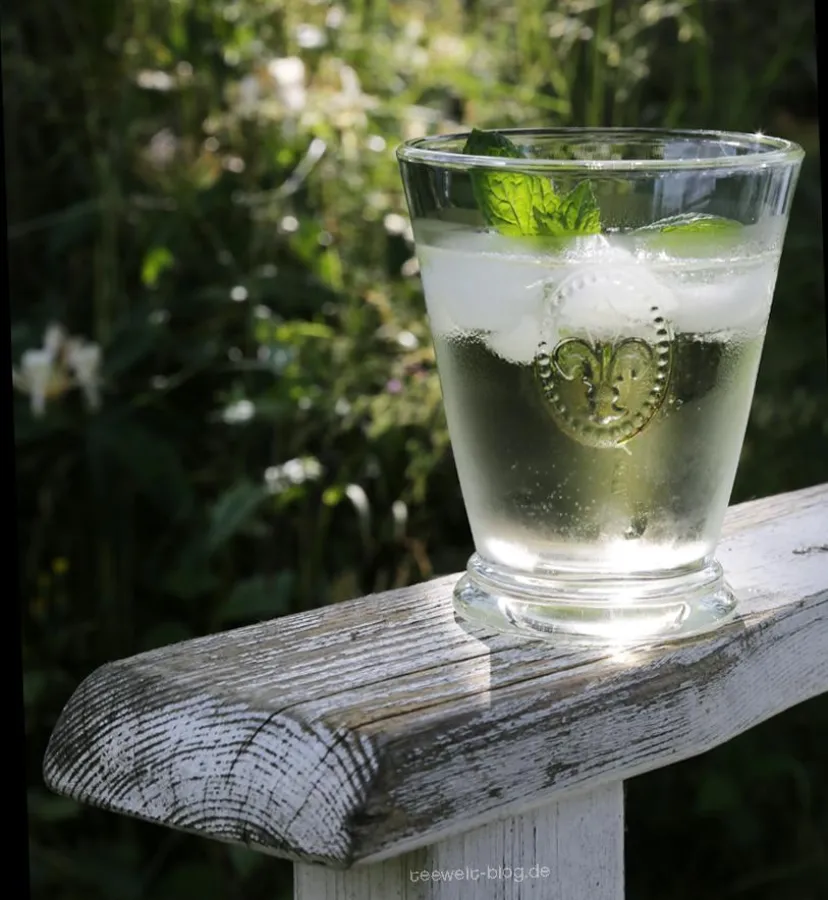 Eiskalter Teegenuss im Sommer - www.tea-exclusive.de