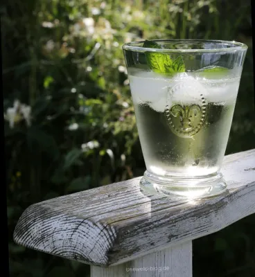 Bild: Fünf heiße Trends und Tipps für kalten Tee-Genuss im Sommer