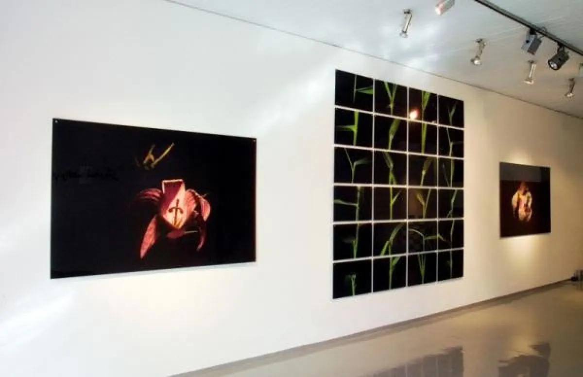 Kunstdrucke vom Medienkraftwerk