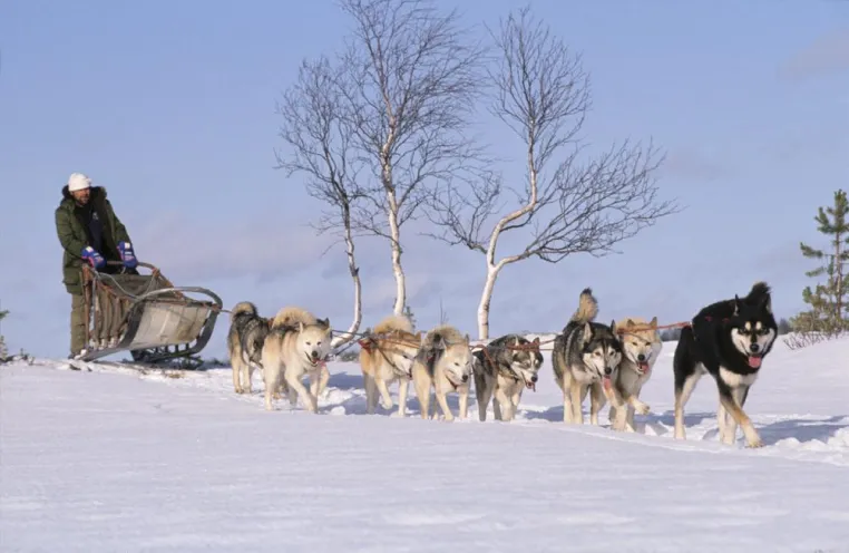 Finnland aktiv: Abenteuer nördlich vom Polarkreis Bild: Finnland aktiv: Abenteuer nördlich vom Polarkreis
