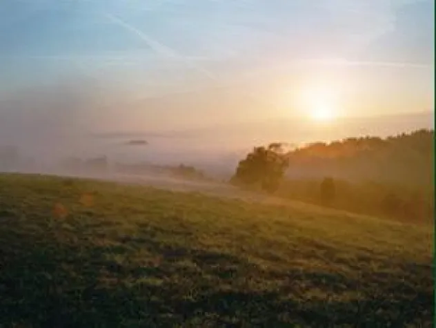 Bild: Visionsfindung im Naturpark Bayerischer Wald  -  SELBST-Training 2007