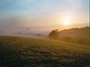 Bild: Visionsfindung im Naturpark Bayerischer Wald  -  SELBST-Training 2007