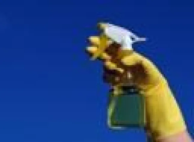 Bild: Frühjahrsputz für Allergiker