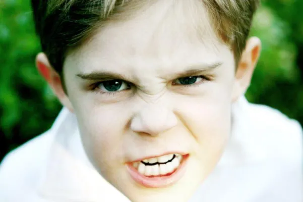 Bild: 20.000 Unterschriften gegen GEZ Gebühr auf internetfähige PCs