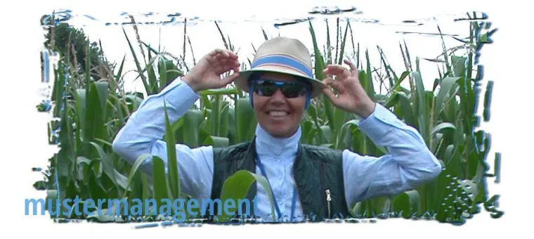 Bild: Systemische Mediation