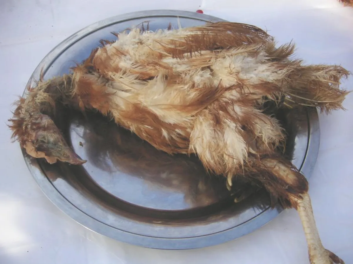 Auf dem Silbertablett präsentiert: die Realität des Eikonsums