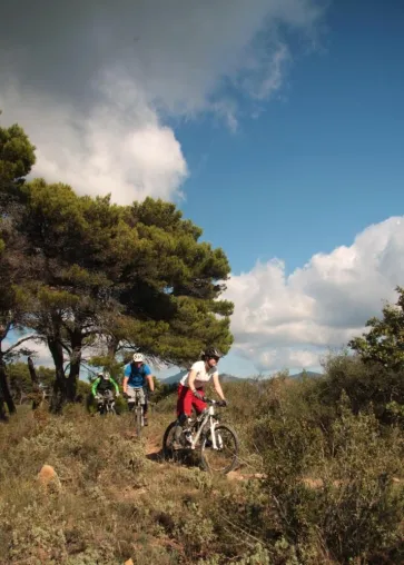 Bild: Schmankerl zum Saisonabschluss für Bikerinnen: Ligurien-TrailCamp mit „Ladies Only“-Gruppe zum Sonderpreis