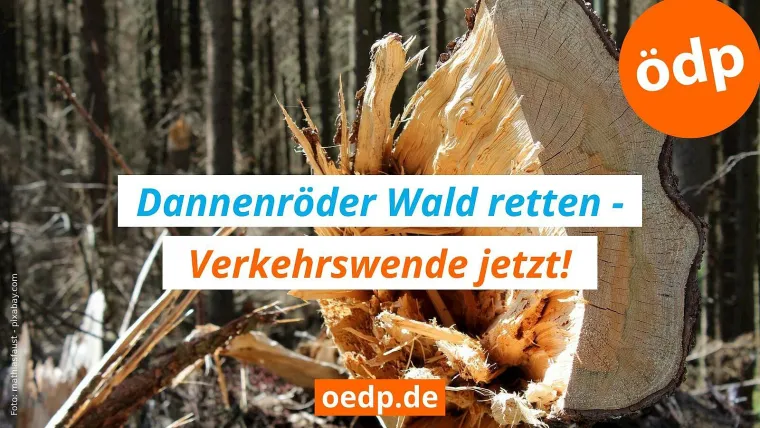 Bild: Verkehrswende - ÖDP will Dannenröder Wald vor Rodung für A49 retten