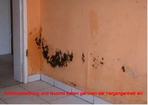 Bild: Wohnungsschimmel, eine (selbstgemachte) Geißel der modernen Zivilisation