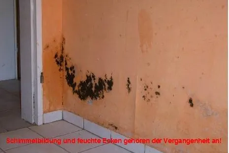 Wohnungsschimmel, eine (selbstgemachte) Geißel der modernen Zivilisation Bild: Wohnungsschimmel, eine (selbstgemachte) Geißel der modernen Zivilisation