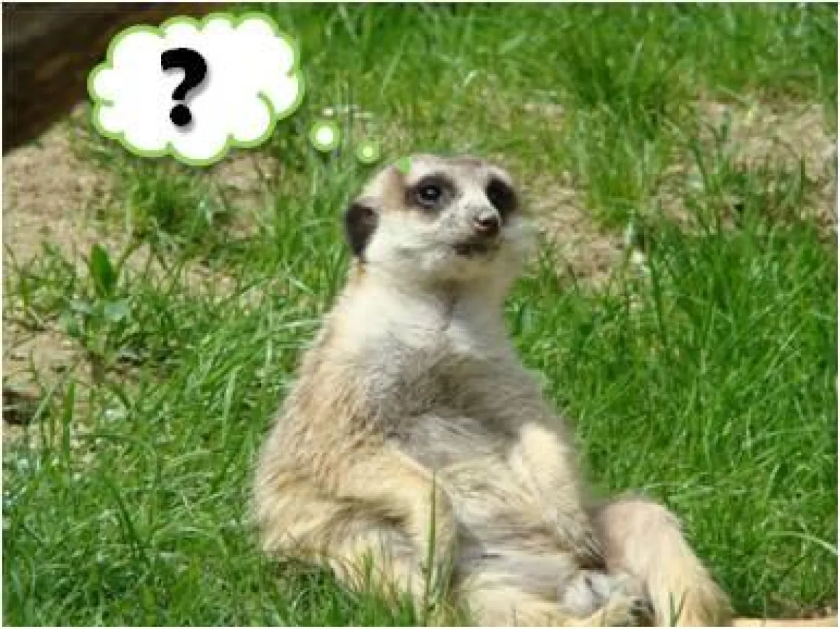 Welcher Gartentyp sind Sie? Jetzt Typberatung anfordern unter info@seidenspinner.de