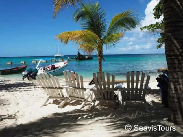Bild: Wer kommt mit auf den Ausflug nach Saona?