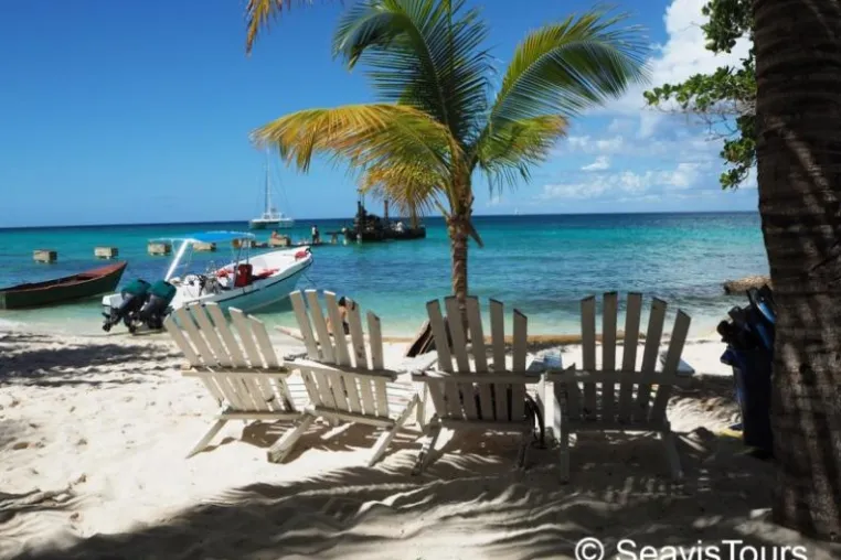 Bild: Wer kommt mit auf den Ausflug nach Saona?