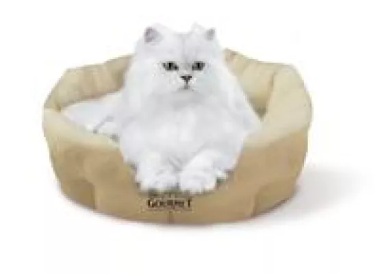 Bild: Herbst und Winter: Wohlfühlzeit für Katzen