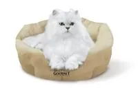 Bild: Herbst und Winter: Wohlfühlzeit für Katzen