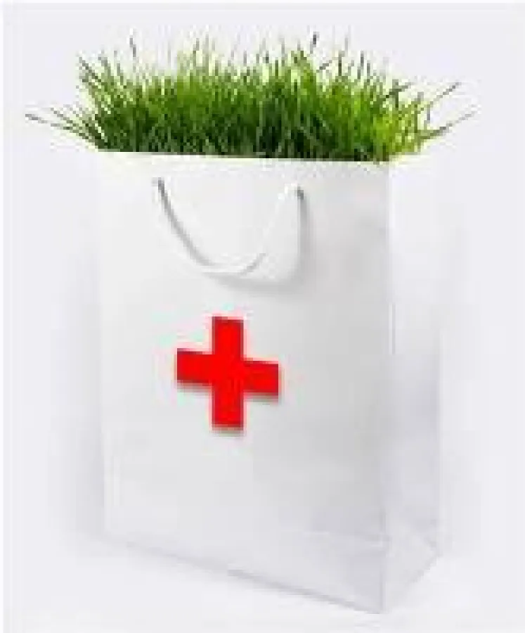 Rasen krank - jetzt fotografieren und an Dr. Seidenspinner mailen: info@seidenspinner.de