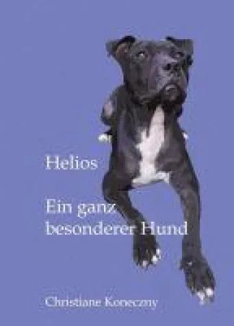 Bild: Helios - Eine bewegende Hunde-Geschichte