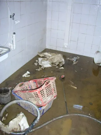 Bild: Nach Hochwasser unbedingt desinfizieren