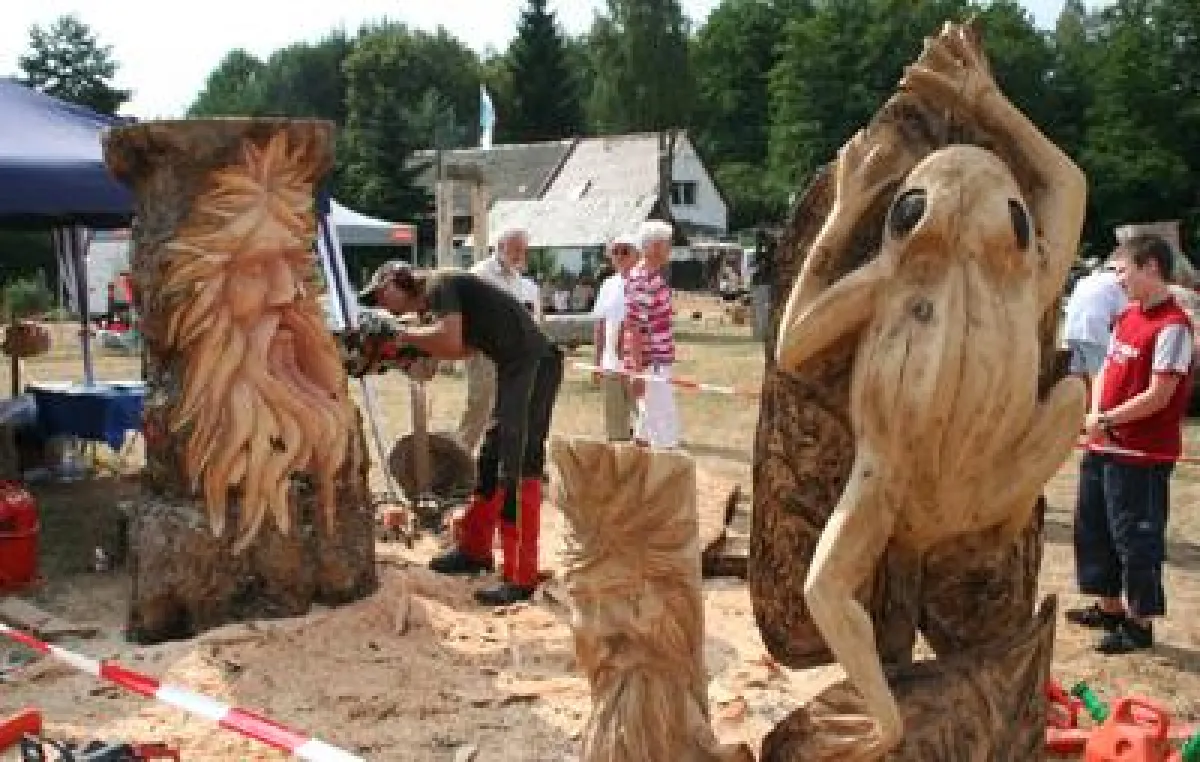Kunst mit Kettensägen am 28. und 29. Juli in der Dübener Heide