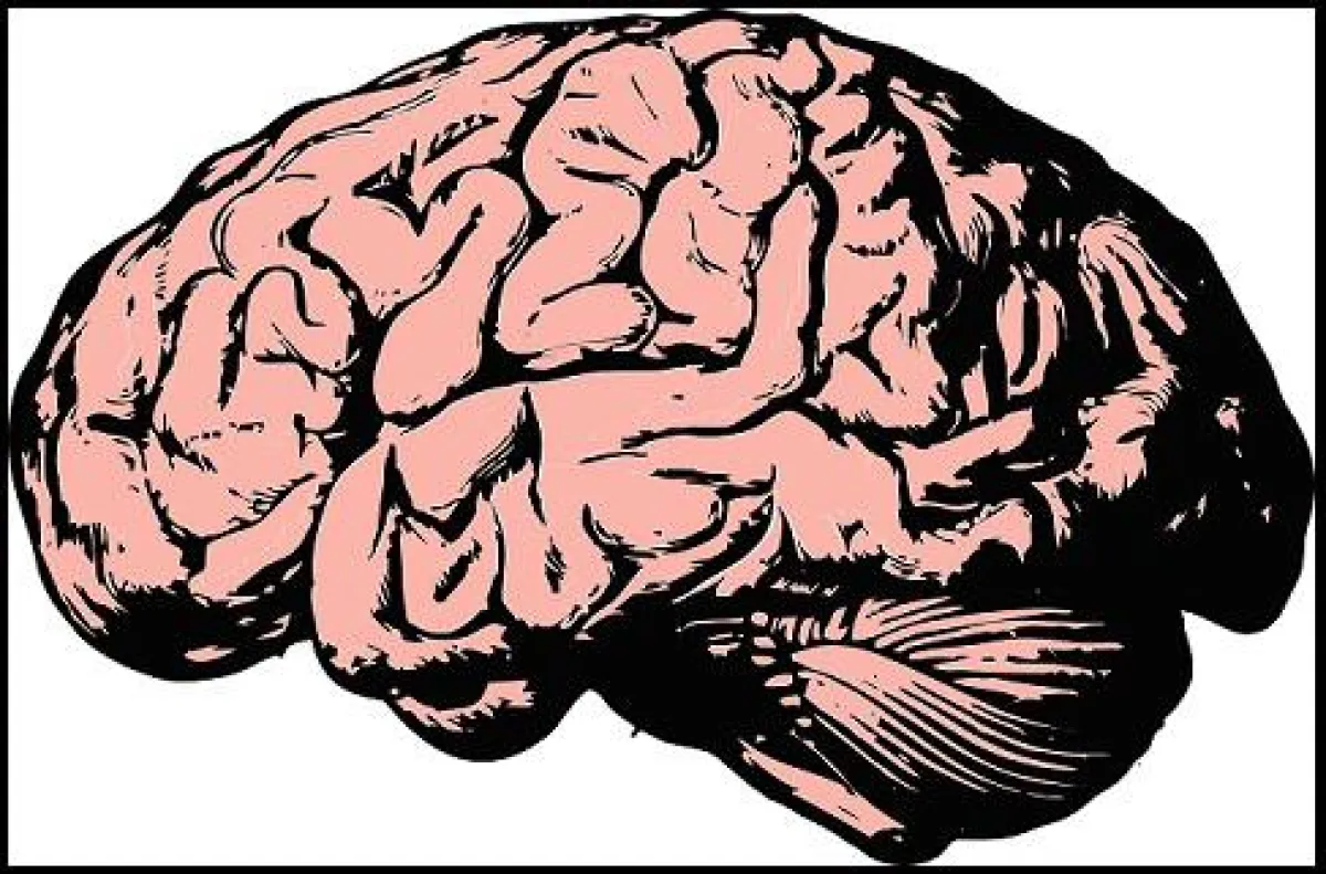 Die Alzheimer-Forschung ist schlecht