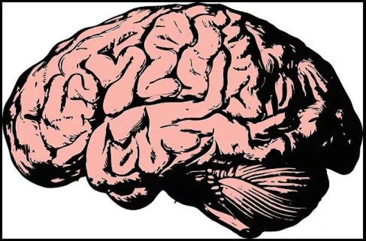 Bild: Die Alzheimer-Forschung ist schlecht