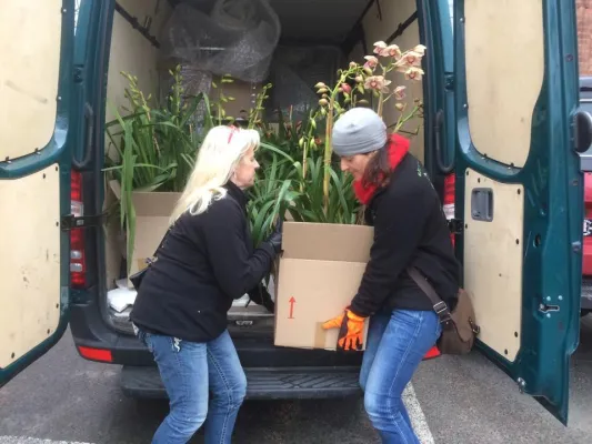 Bild: Orchideenfest im Botanischen Garten Göteborg