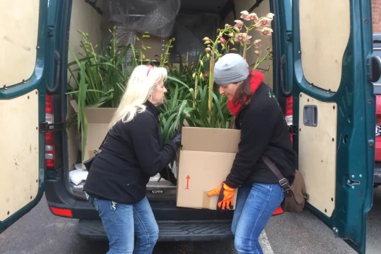 Bild: Orchideenfest im Botanischen Garten Göteborg