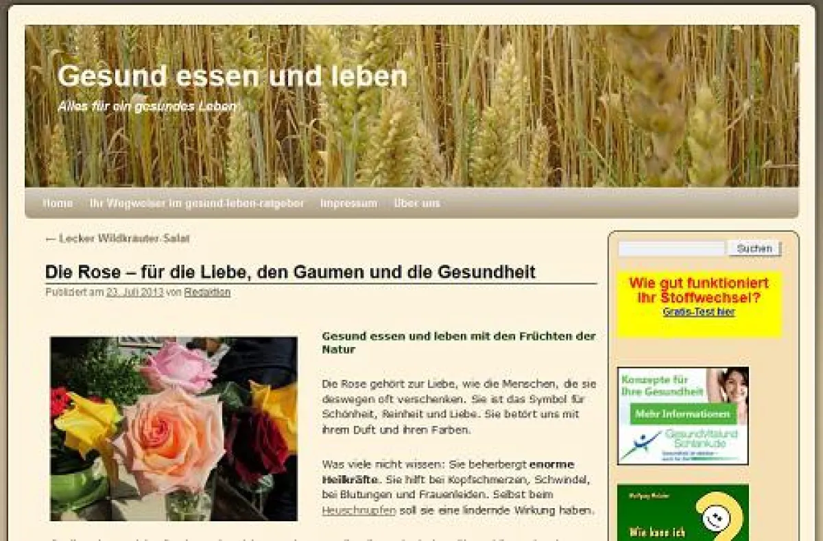 gesund-leben-ratgeber, sommer