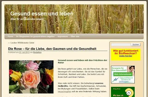 Bild: Sommertipps für mehr Gesundheit