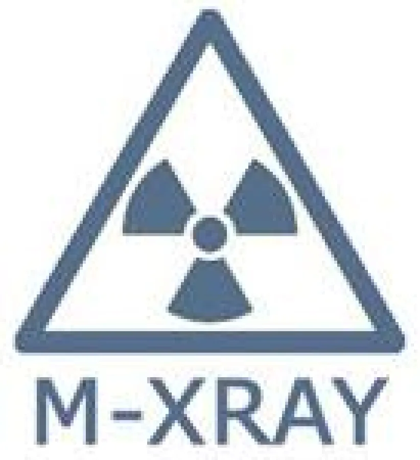 M-XRAY: Große Simulink® - und TargetLink® -Modelle im Griff behalten