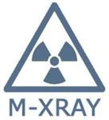 Bild: M-XRAY: Große Simulink® - und TargetLink® -Modelle im Griff behalten