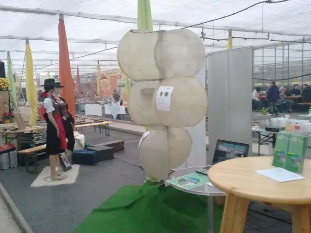 Präsentation der Windkraftanla im Rahmen der Brauchtumsmesse in Feldbach Bild: Präsentation der Windkraftanla im Rahmen der Brauchtumsmesse in Feldbach