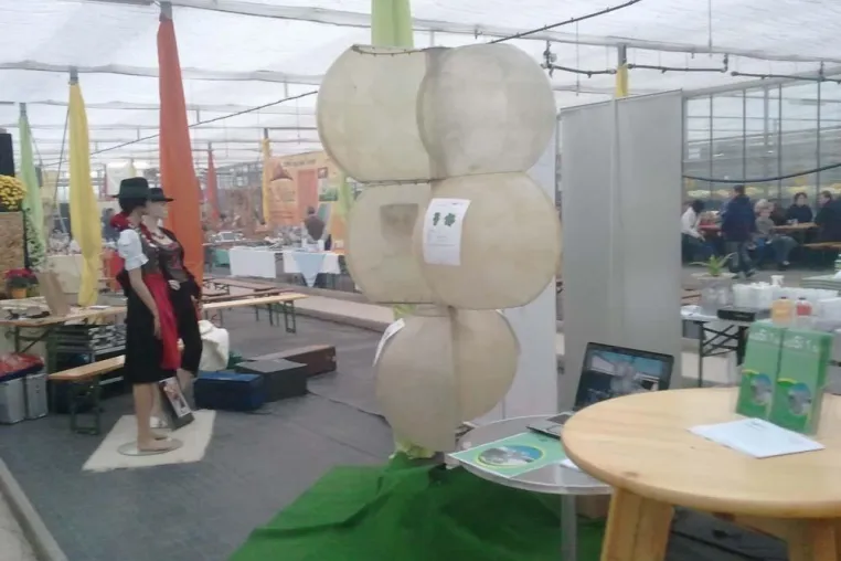 Bild: Präsentation der Windkraftanla im Rahmen der Brauchtumsmesse in Feldbach