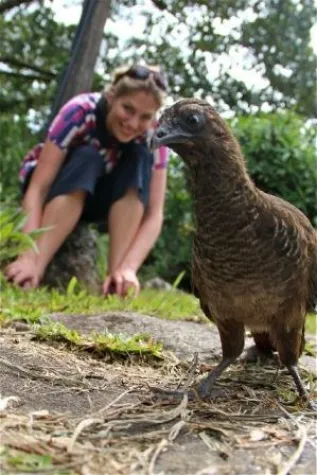 Bild: 81. Tier: Auch ein blindes Huhn findet mal ... eine Soja-Bohne?
