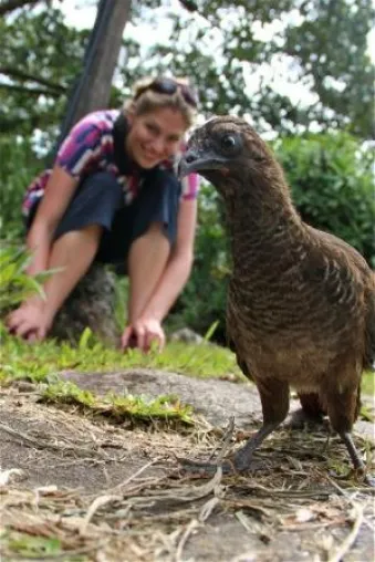 81. Tier: Auch ein blindes Huhn findet mal ... eine Soja-Bohne? Bild: 81. Tier: Auch ein blindes Huhn findet mal ... eine Soja-Bohne?