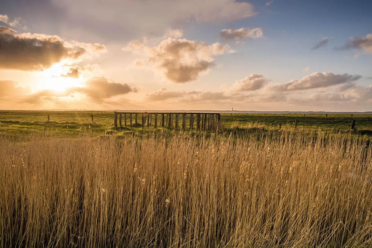 Karneval in Norddeich:  Natur pur oder gewürzt mit regionalen kulturell-kulinarischen Angeboten.