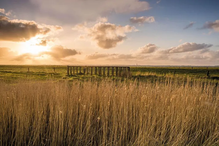 Bild: Küste statt Kamelle: Nordsee bereit für Karnevalsmuffel