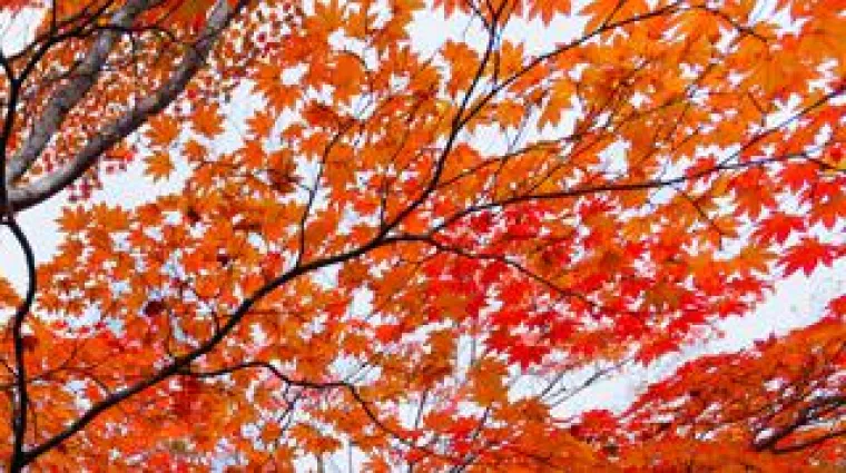 21 Jahre EMAS-Umweltbetriebsprüfung Bild: 21 Jahre EMAS-Umweltbetriebsprüfung