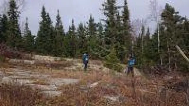 Bild: Goldminenaktien sollte man haben - aber die richtigen