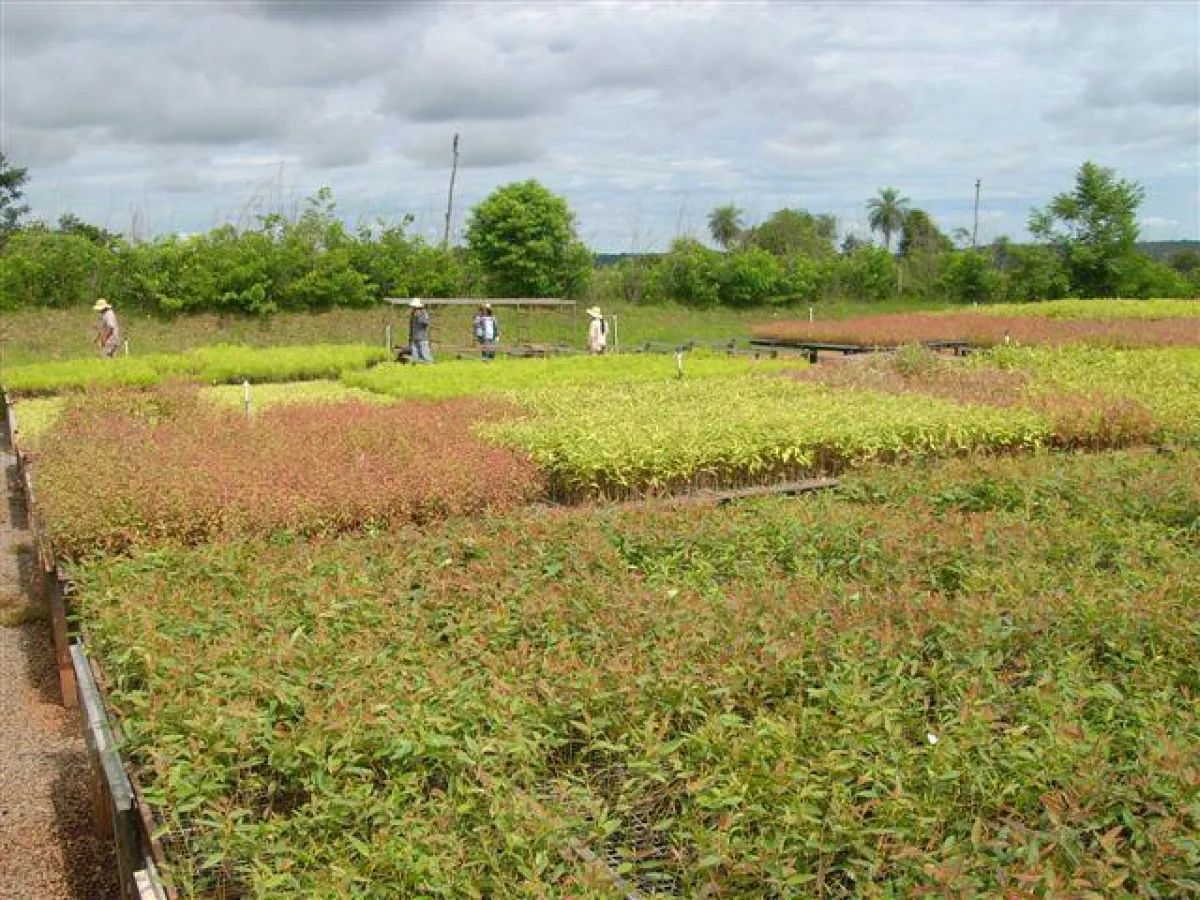 Paraguay, die perfekte Ausgangslage