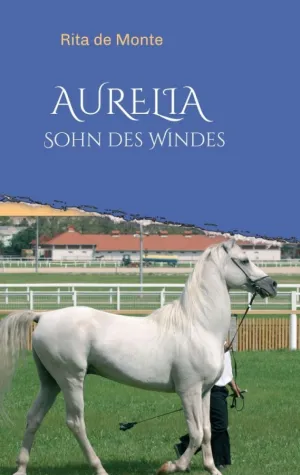 Bild: AURELIA - Sohn des Windes - Packendes Pferdeabenteuer aus Frankreich