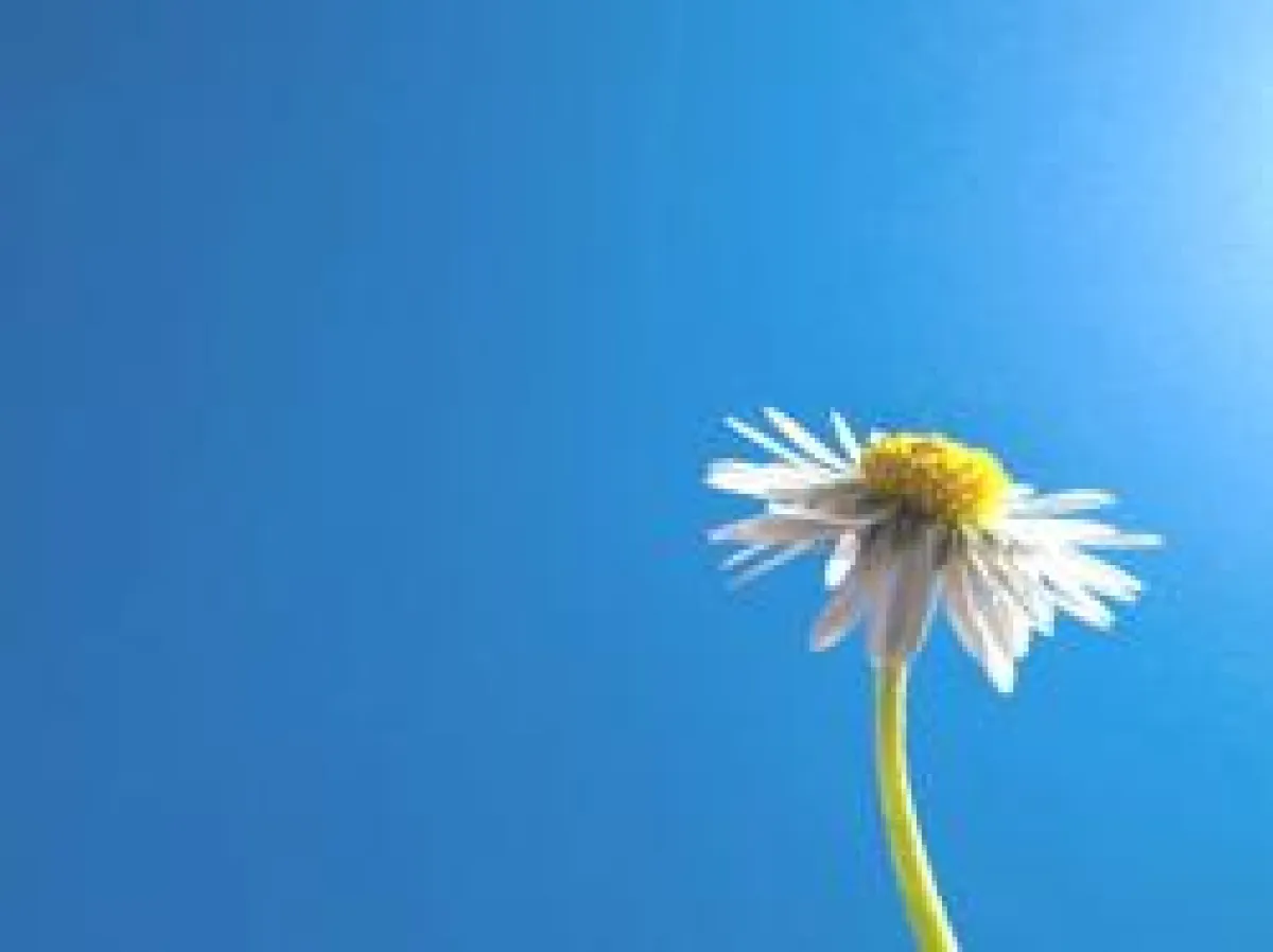 Bild: Lisa Spreckelmeyer  / pixelio.de