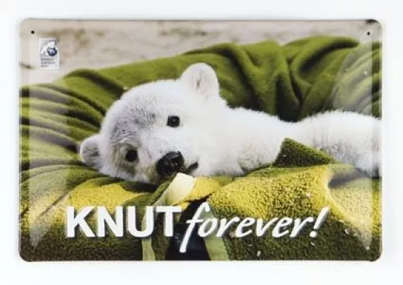 Umwelt-Botschafter in Blech: Eisbär Knut und seine Freunde werden zu Schild-Bürgern Bild: Umwelt-Botschafter in Blech: Eisbär Knut und seine Freunde werden zu Schild-Bürgern