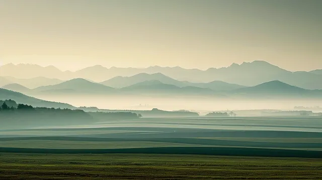 Bild: Greenfleur GmbH setzt für europäische Expansion auf strukturierte Investorensuche mit CONFIDEX