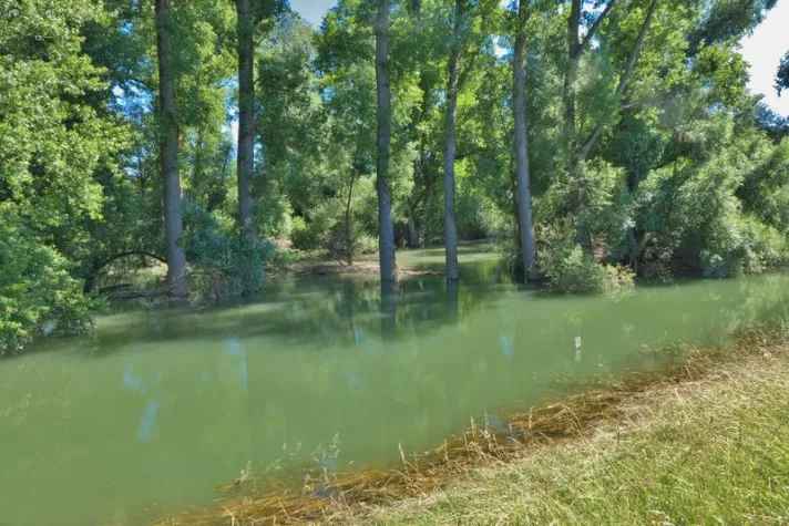 Umweltfreundlichkeit der Stechmückenbekämpfung mit Bti wird von Landauer Forschern hinterfragt Bild: Umweltfreundlichkeit der Stechmückenbekämpfung mit Bti wird von Landauer Forschern hinterfragt