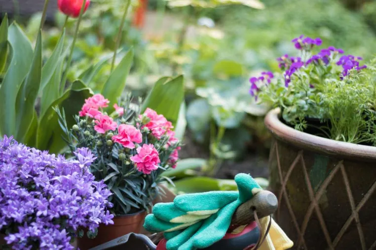 Bild: Den Garten im April richtig pflegen
