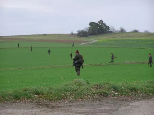 Bild: Tote durch Jagd und Jäger: Abschaffung der Hobbyjagd jetzt!